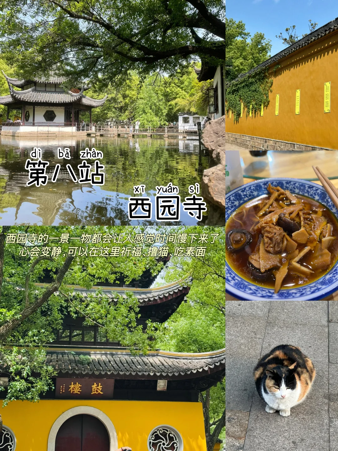 苏州📍两天一晚，不绕路版保姆级逛吃攻略‼️