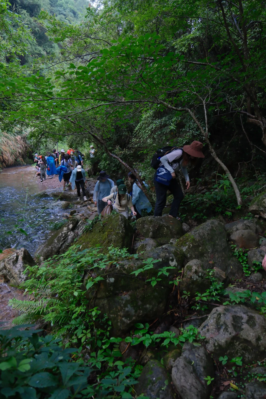 公盂48h｜仙居古村⛰️