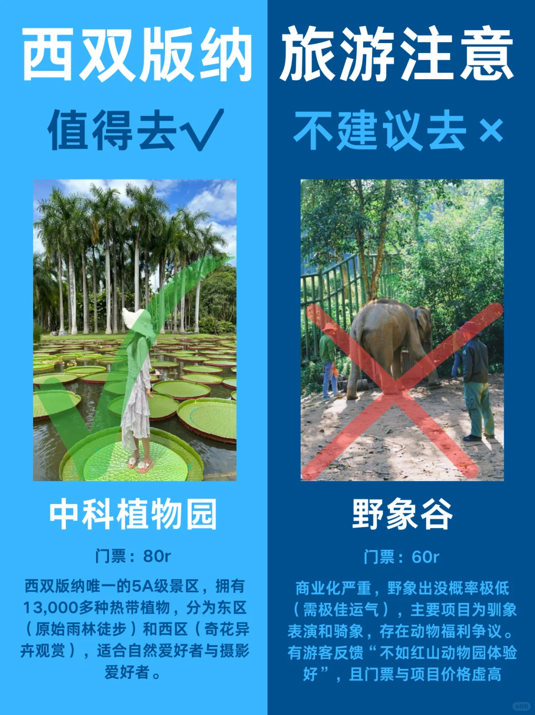 西双版纳哪些景点值得玩❓整理清楚了