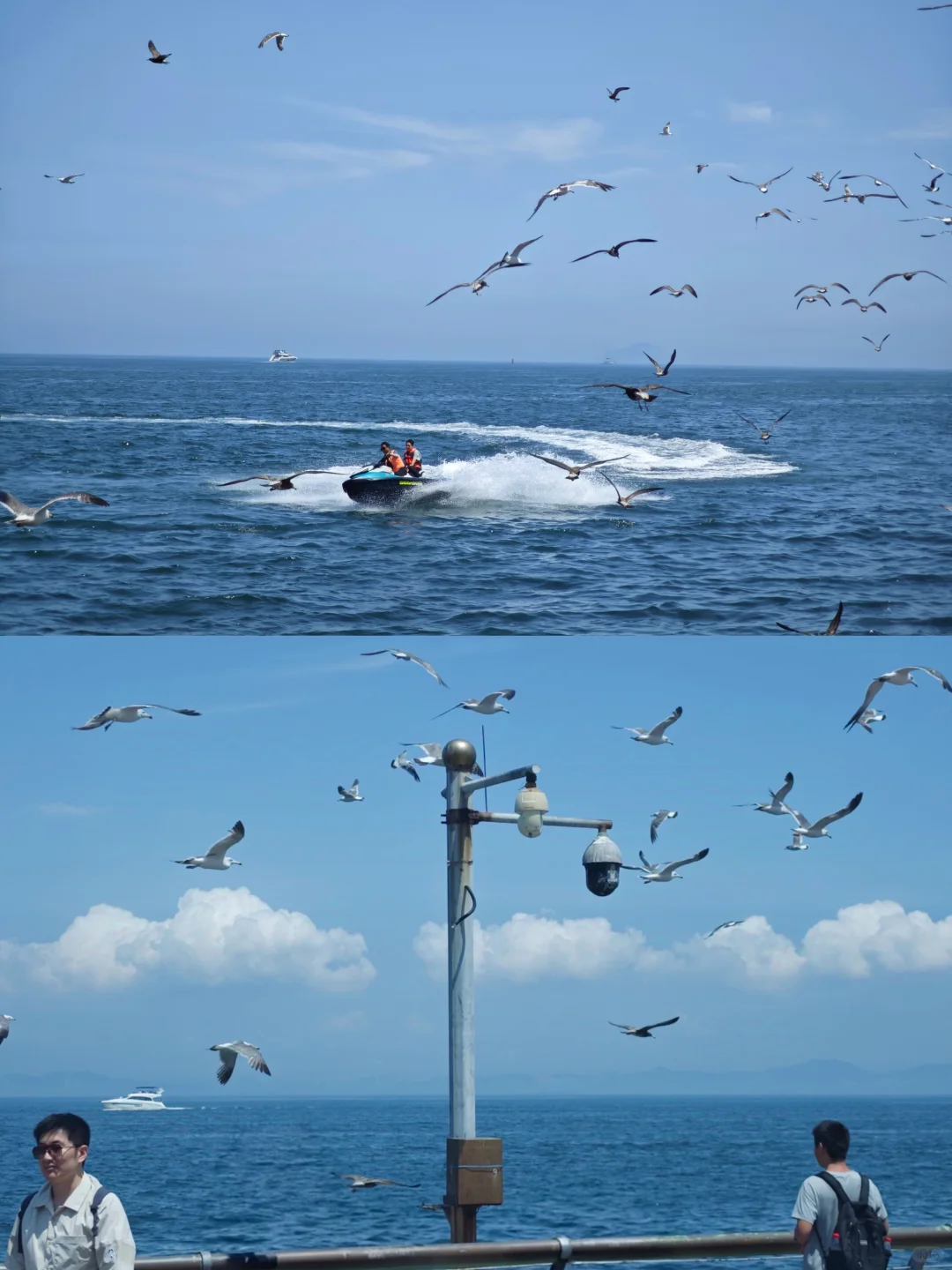 逃离天津计划：大连。