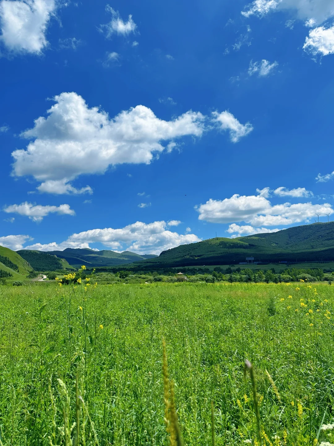 坝上草原➕马镇
