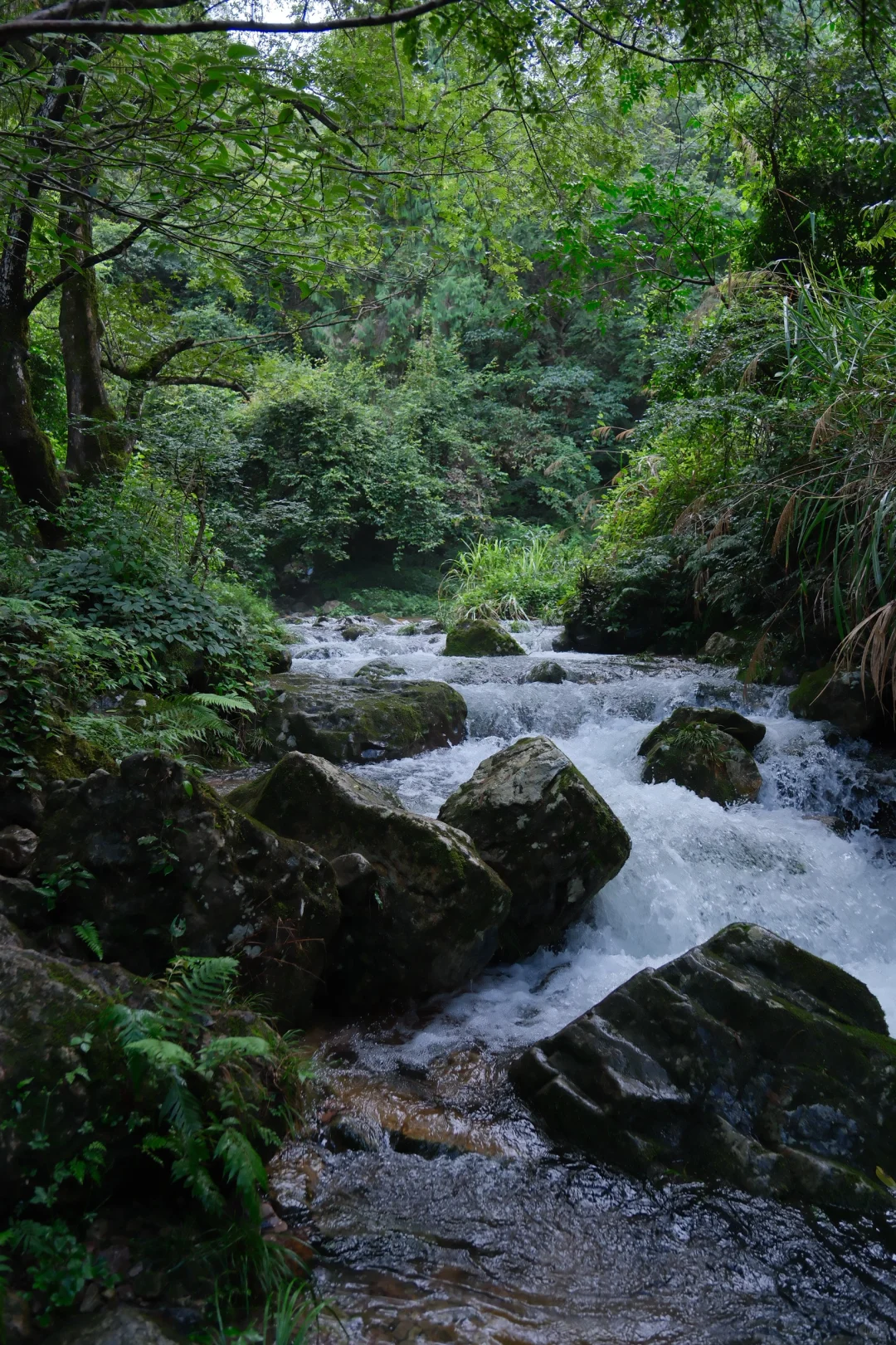 公盂48h｜仙居古村⛰️