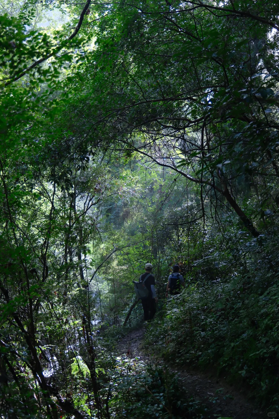 公盂48h｜仙居古村⛰️