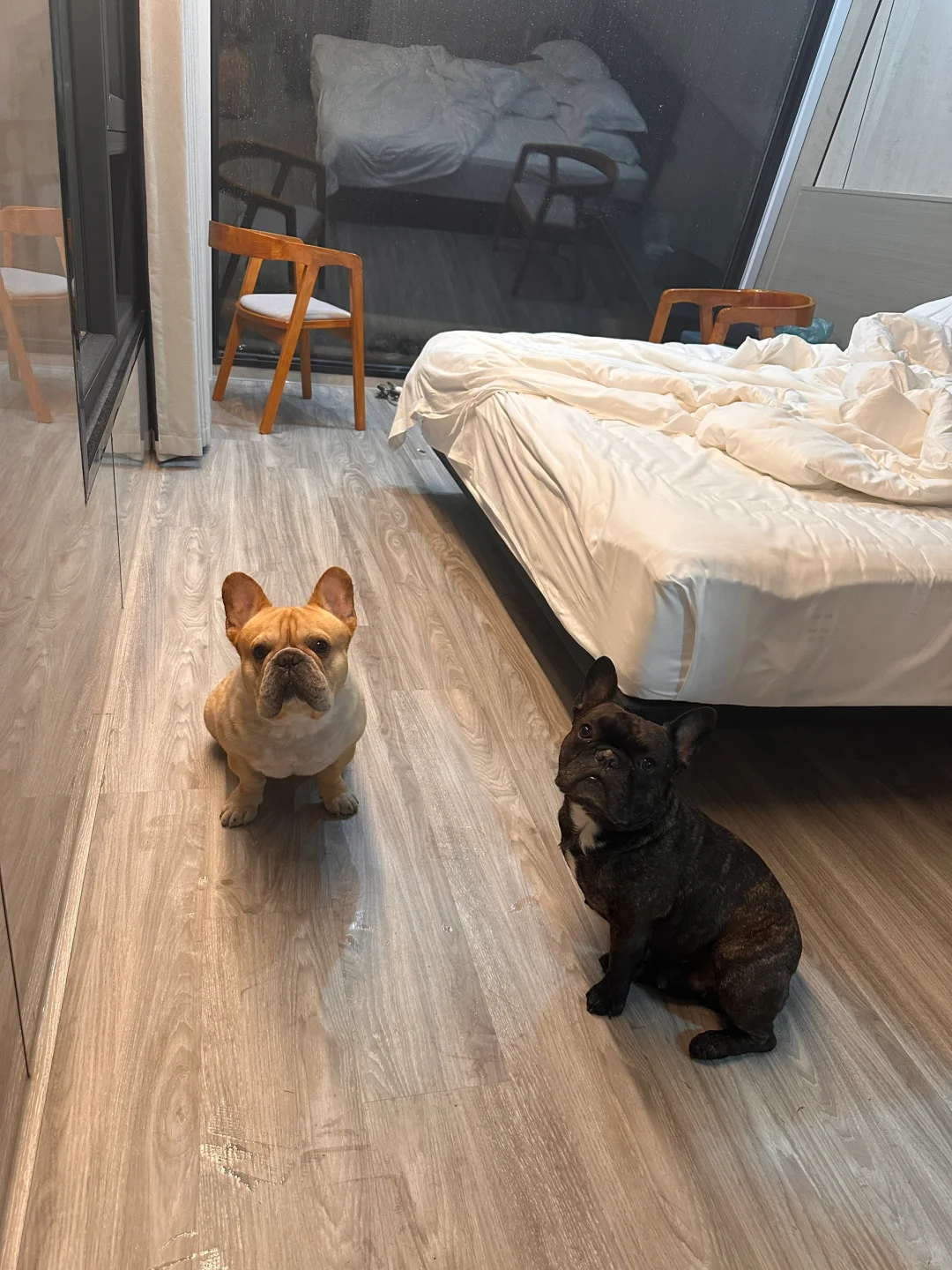 邯郸 | 车程2h的宝藏免费避暑胜地