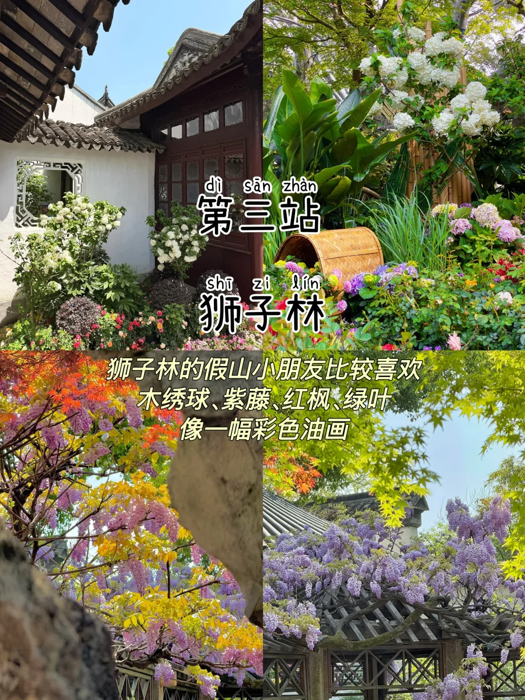 苏州📍两天一晚，不绕路版保姆级逛吃攻略‼️