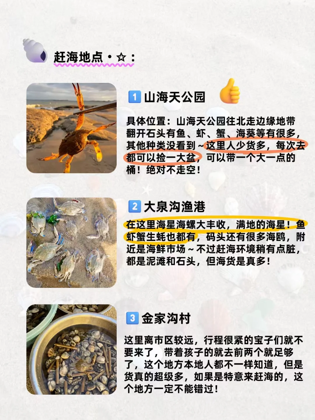 🐚日照捡贝壳地点（本地人未必知道）