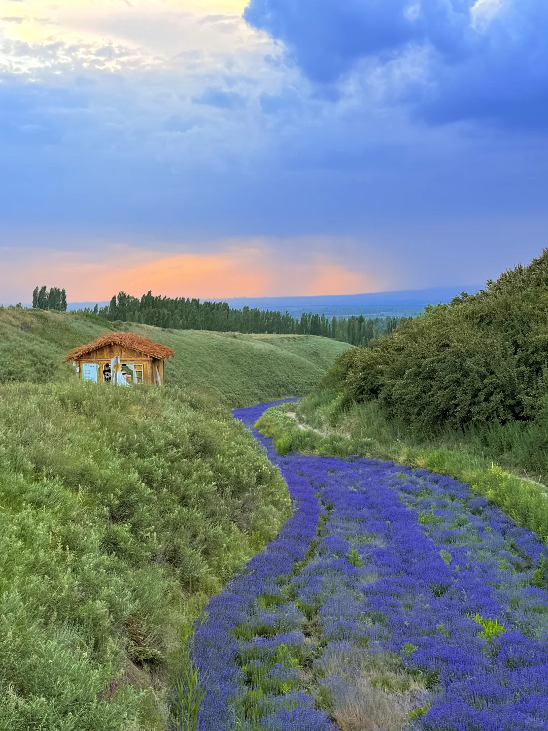 从新疆回来，一点不想上班😭
