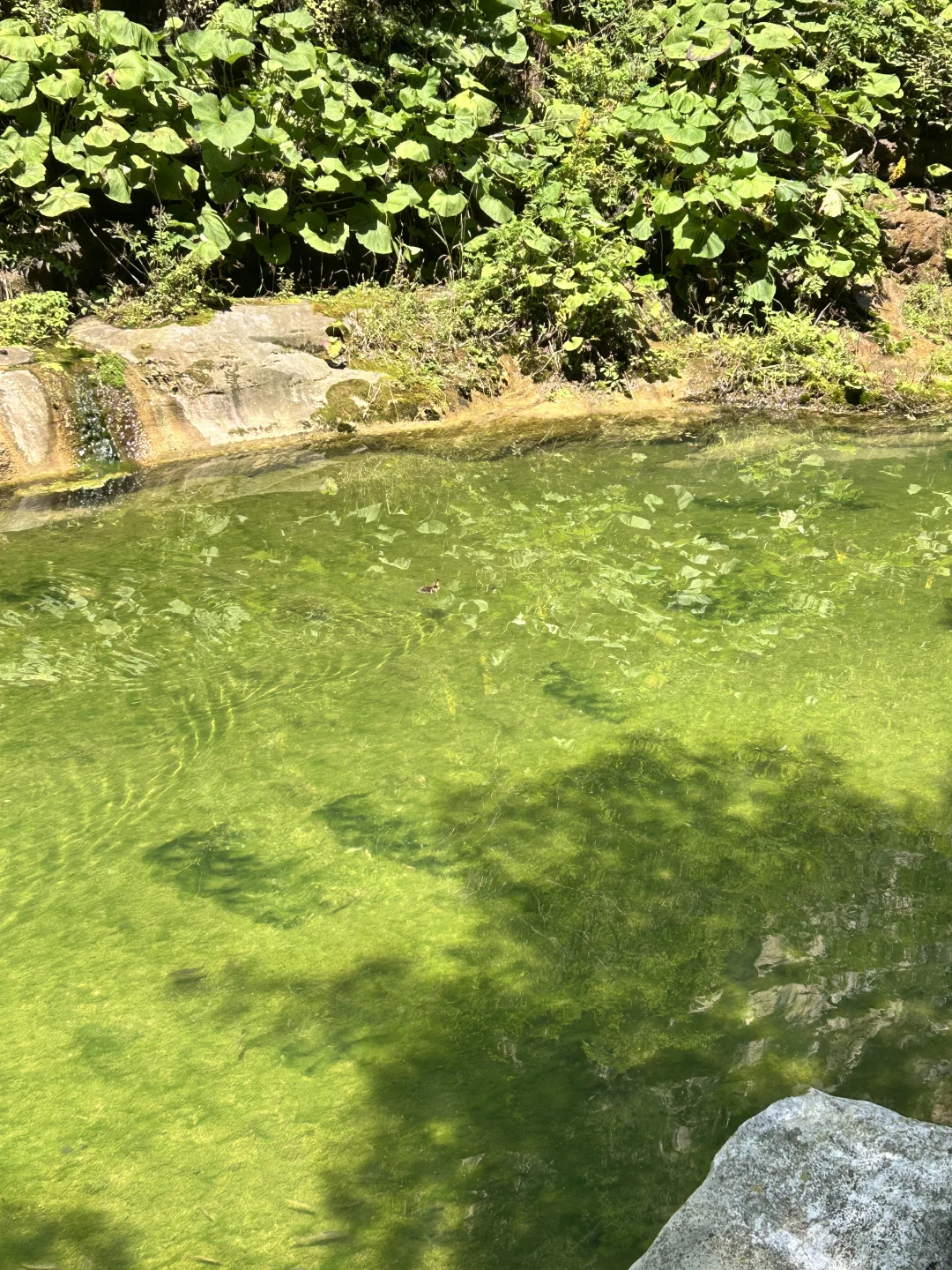 去八泉峡一定要选择B线！！