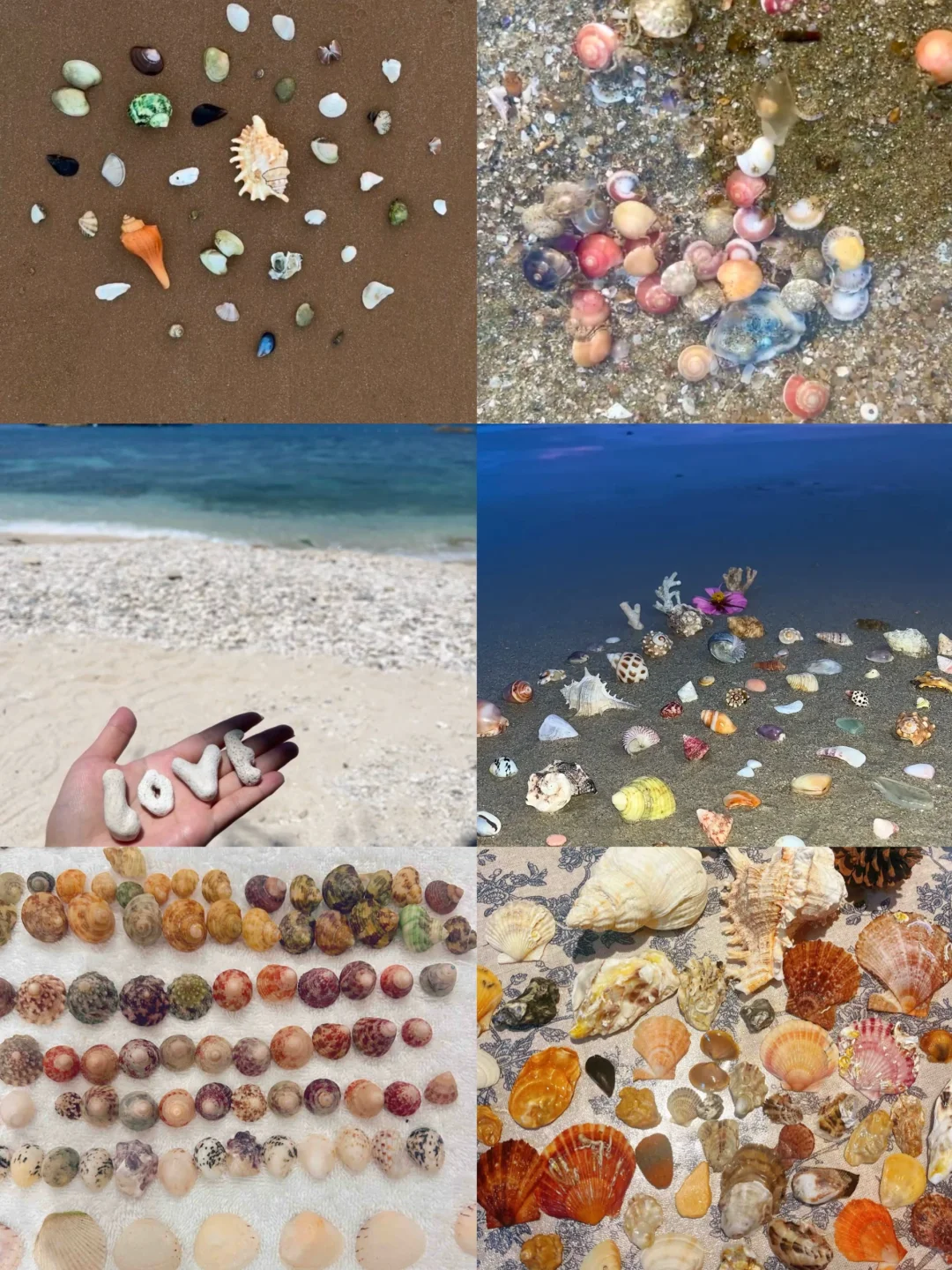 🐚日照捡贝壳地点（本地人未必知道）