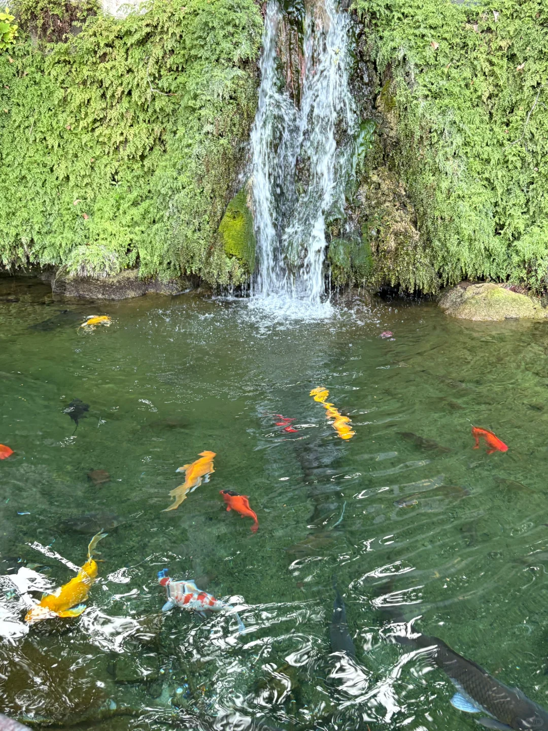 洛阳旅行·洛阳博物馆|龙门石窟