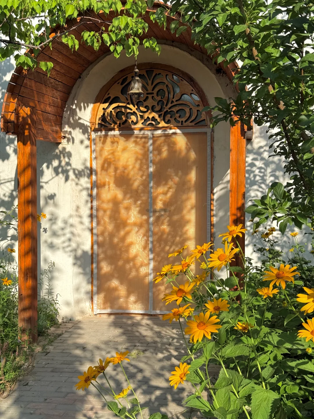 从新疆回来，一点不想上班😭