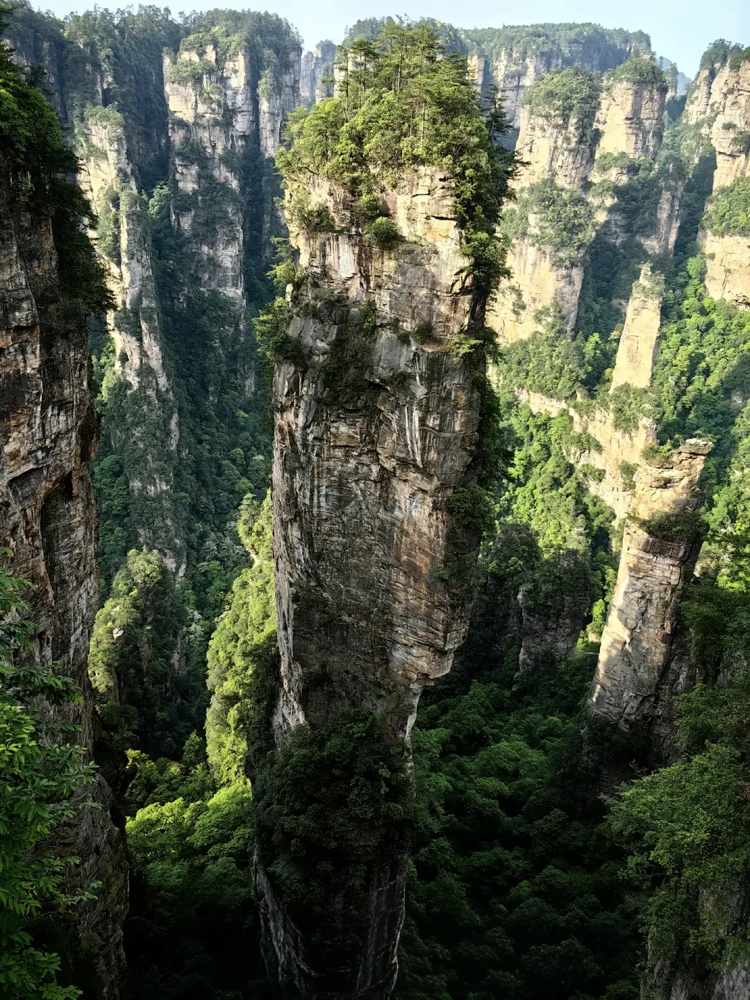 999节天阶！越过的人生尽是坦途✨