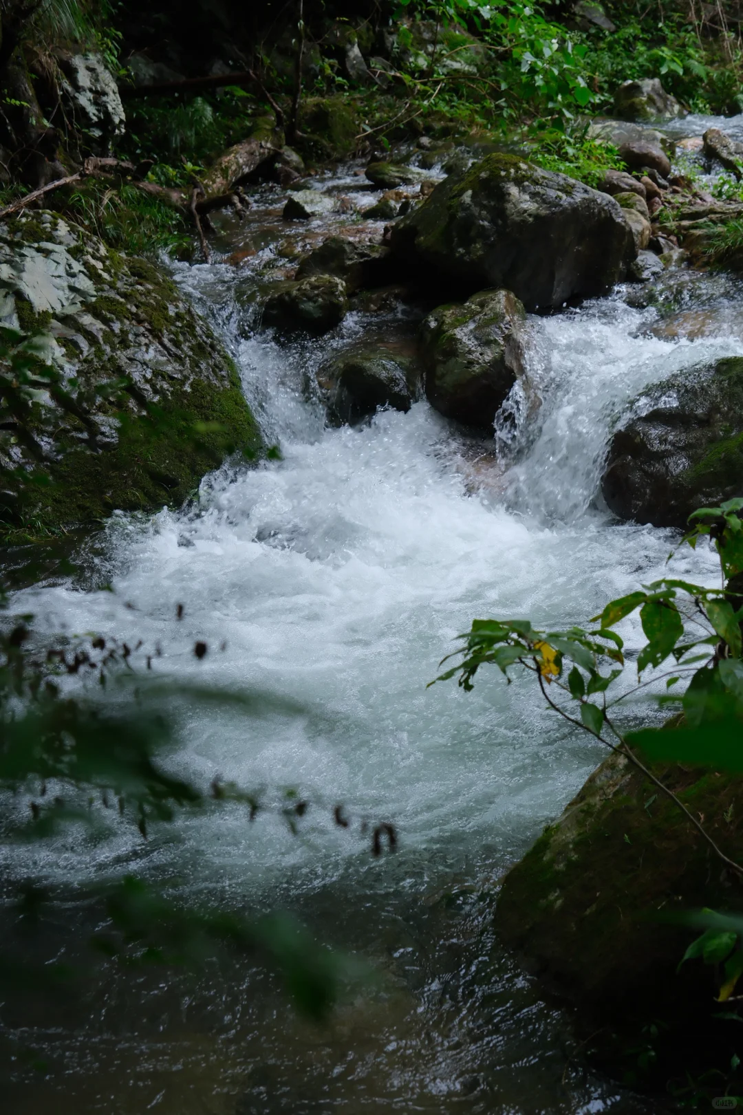 公盂48h｜仙居古村⛰️