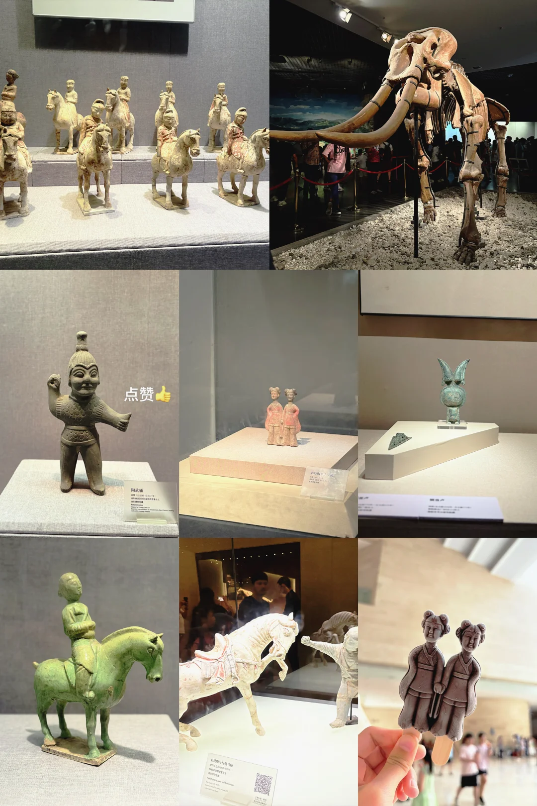 洛阳旅行·洛阳博物馆|龙门石窟