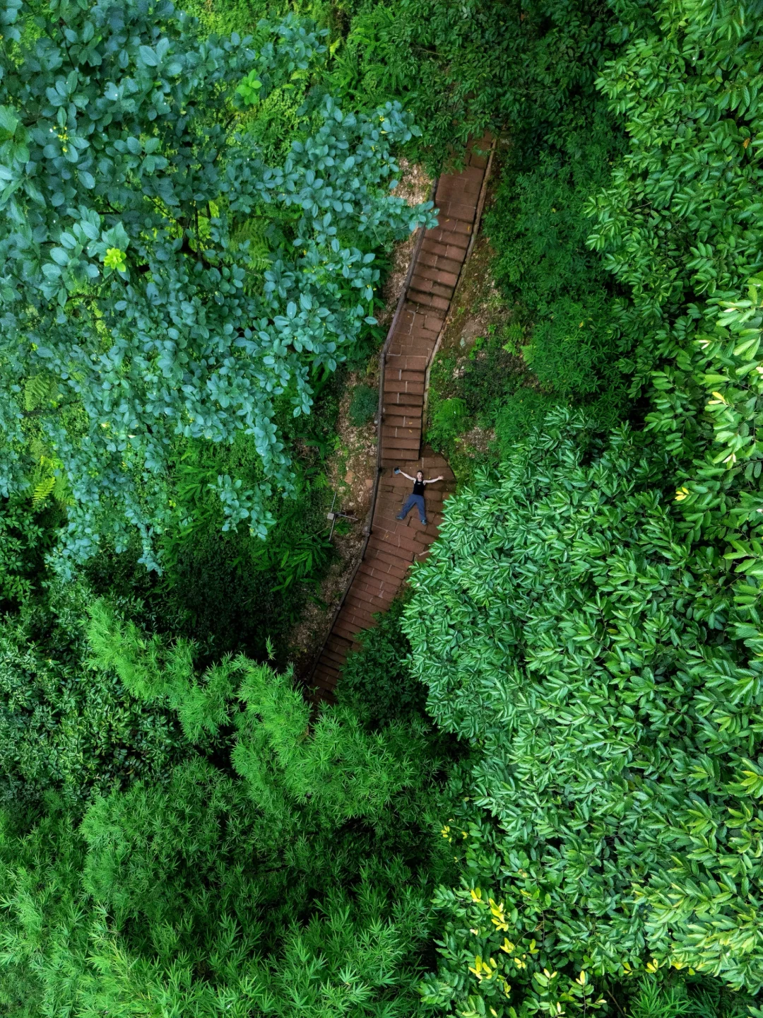 夏天20度的赤水❗️堪称国内避暑旅行天花板❗️