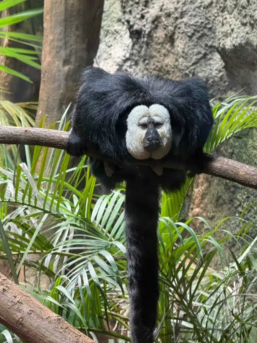 对自己的暑假南京游攻略满意到睡不着（J人版