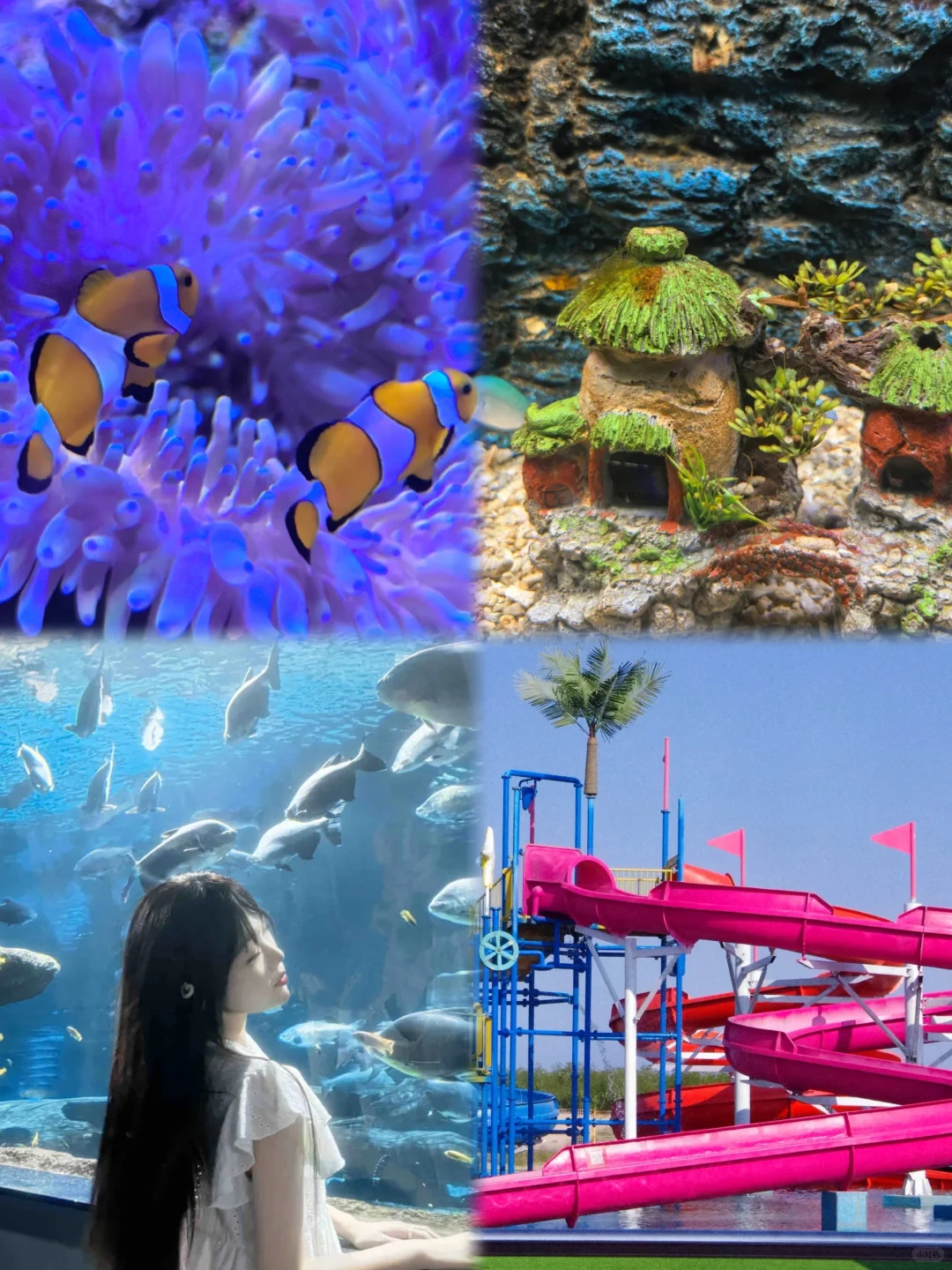 秦皇岛5天游｜带娃带爸妈省心省钱攻略👌