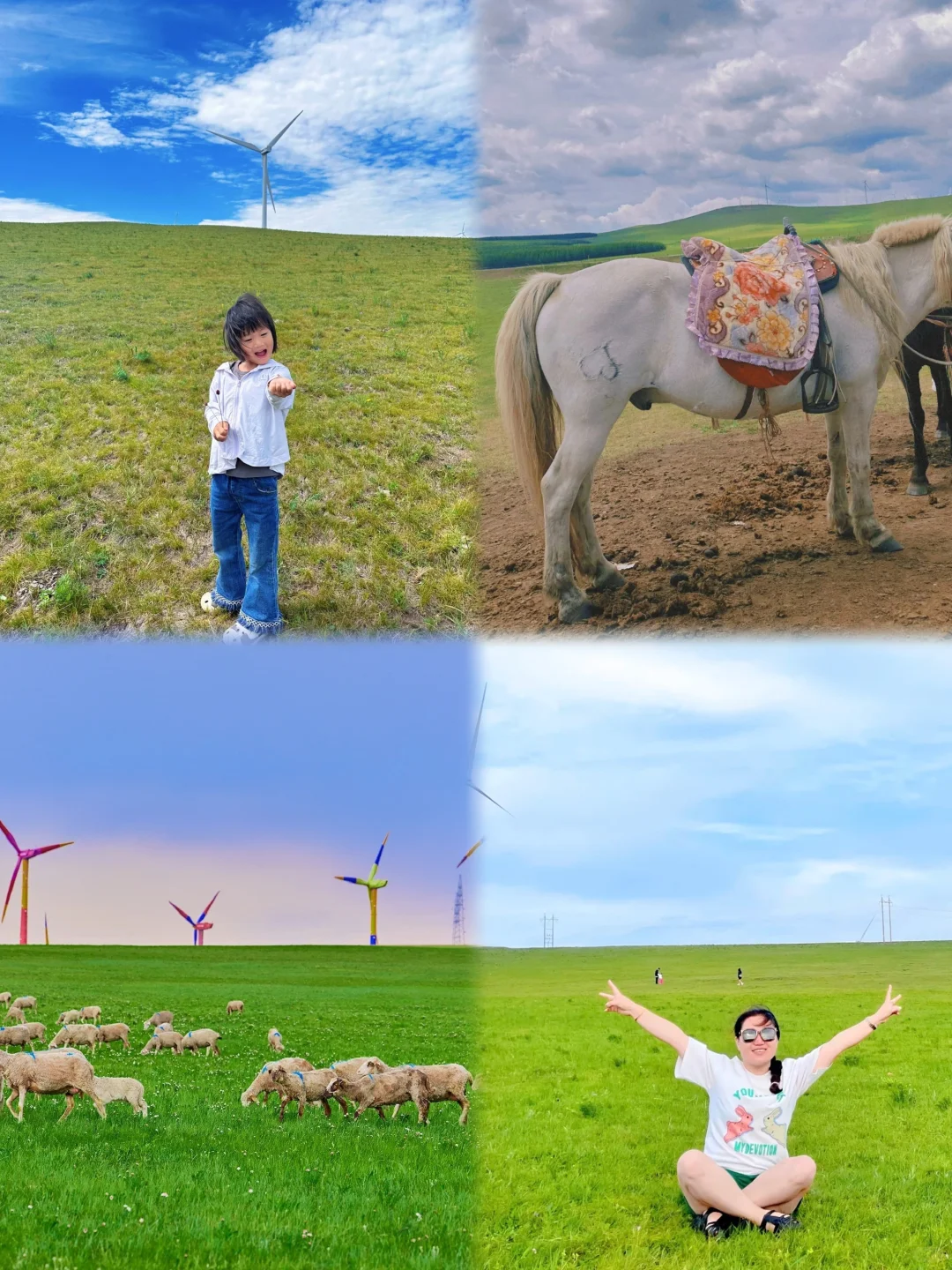 秦皇岛5天游｜带娃带爸妈省心省钱攻略👌