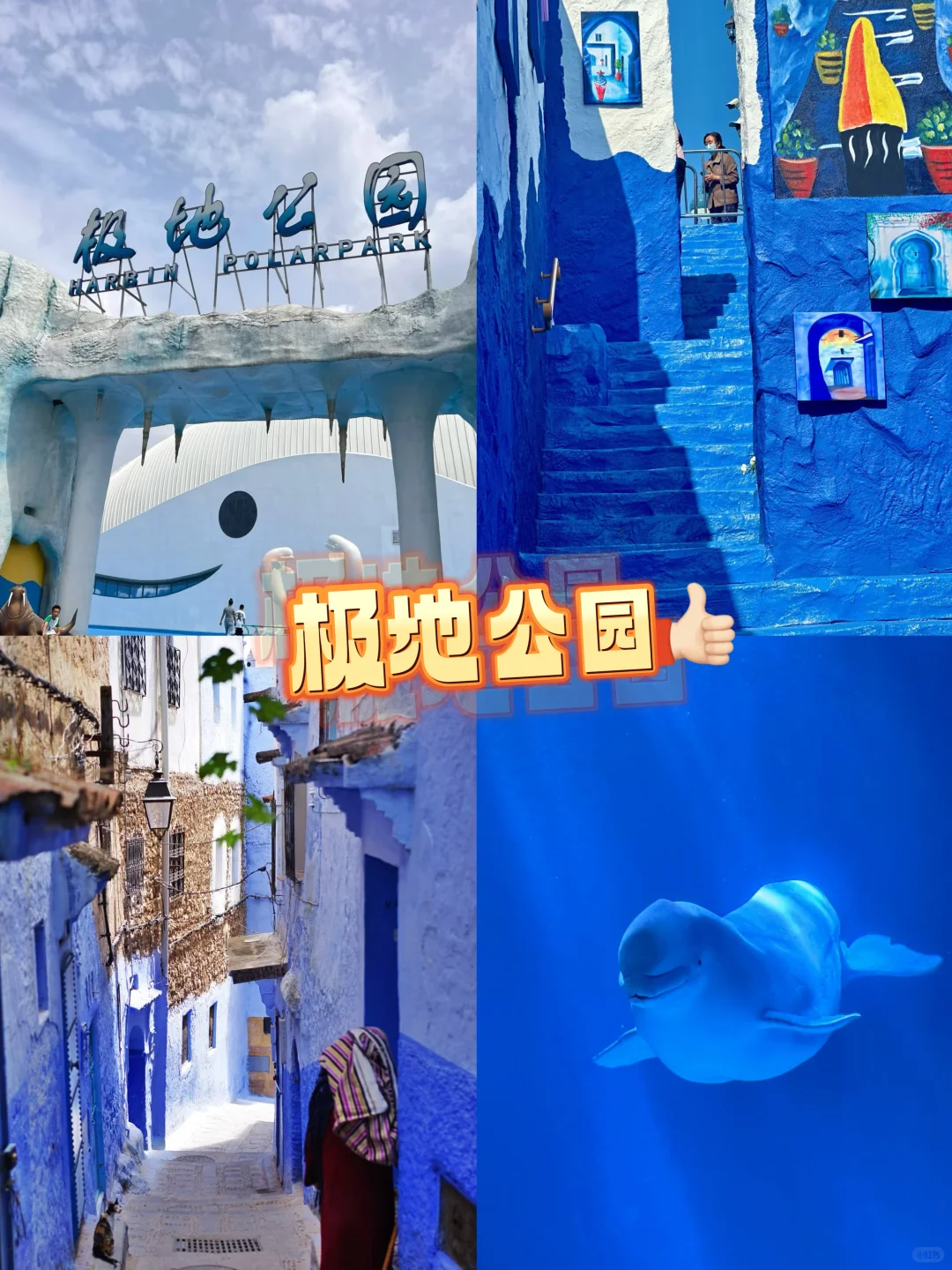 哈尔滨夏季必看旅行攻略❗️