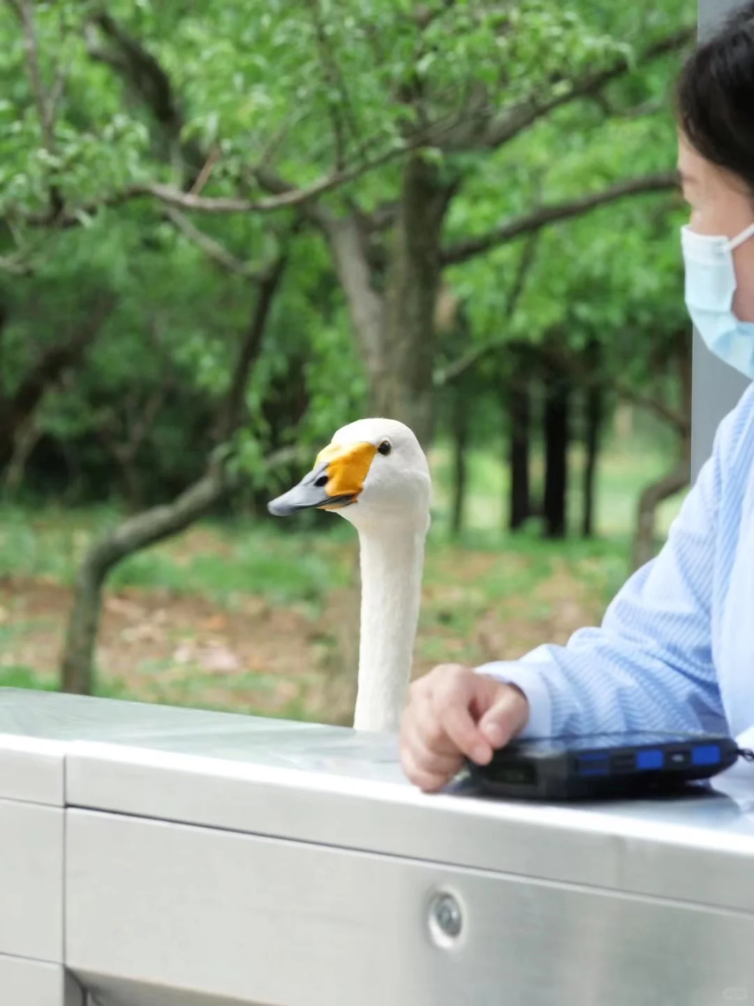 对自己的暑假南京游攻略满意到睡不着（J人版