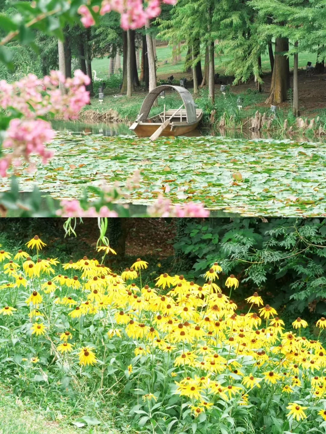 对自己的暑假南京游攻略满意到睡不着（J人版