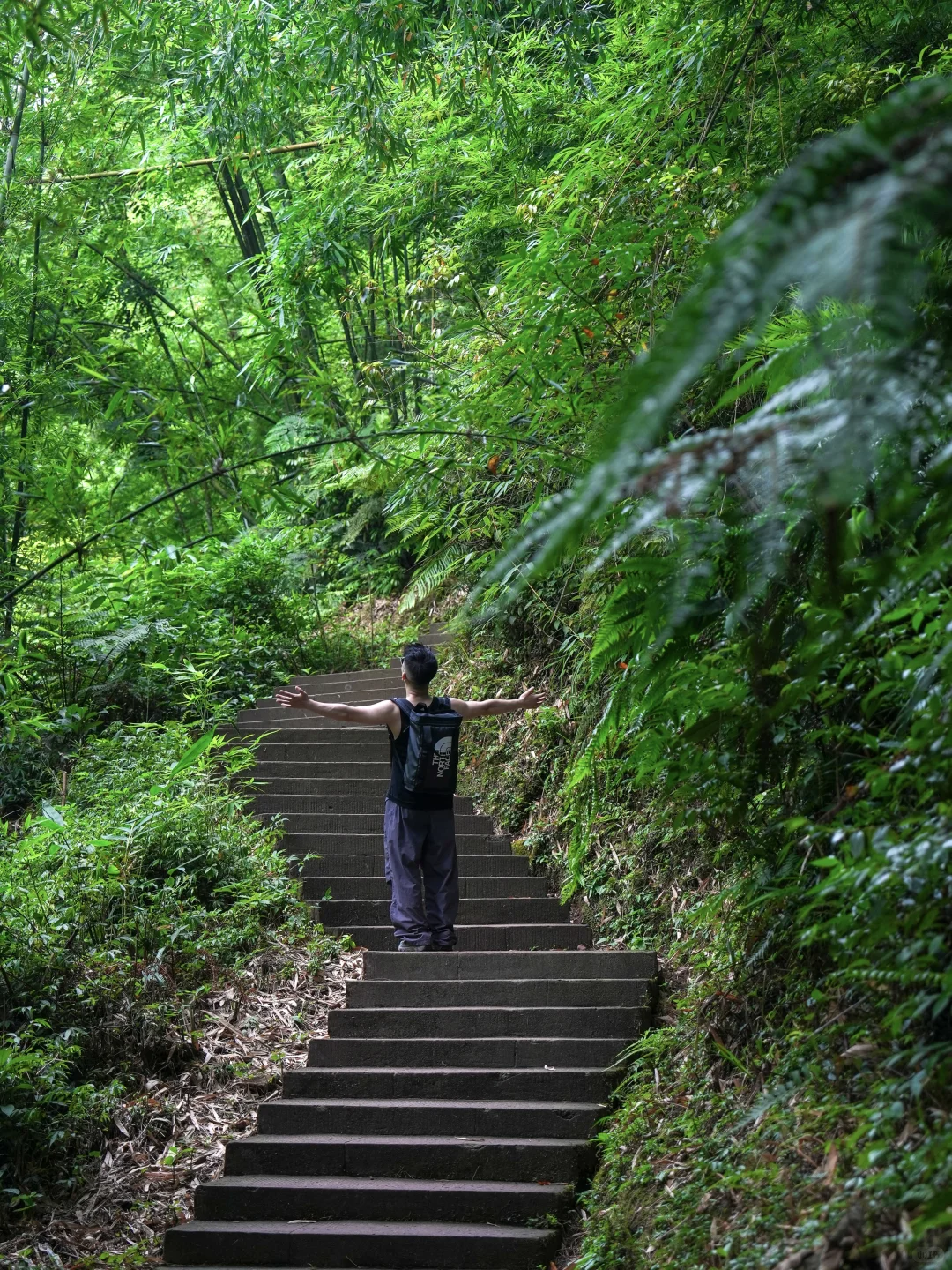 夏天20度的赤水❗️堪称国内避暑旅行天花板❗️