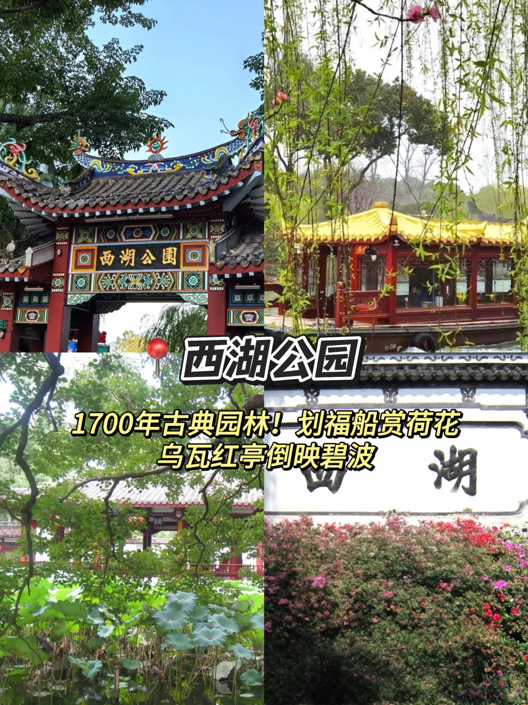 土著带路❗️坐地铁就能玩遍福州的旅游攻略