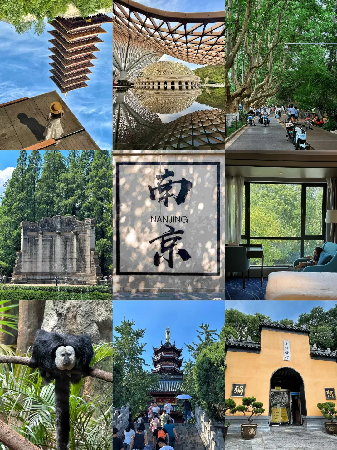 对自己的暑假南京游攻略满意到睡不着（J人版