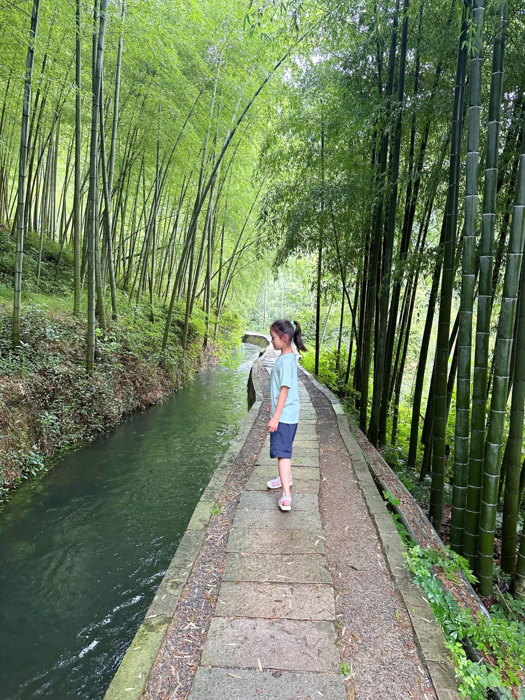 🌈江浙沪亲子游💦桐庐3天2晚超好玩路线‼