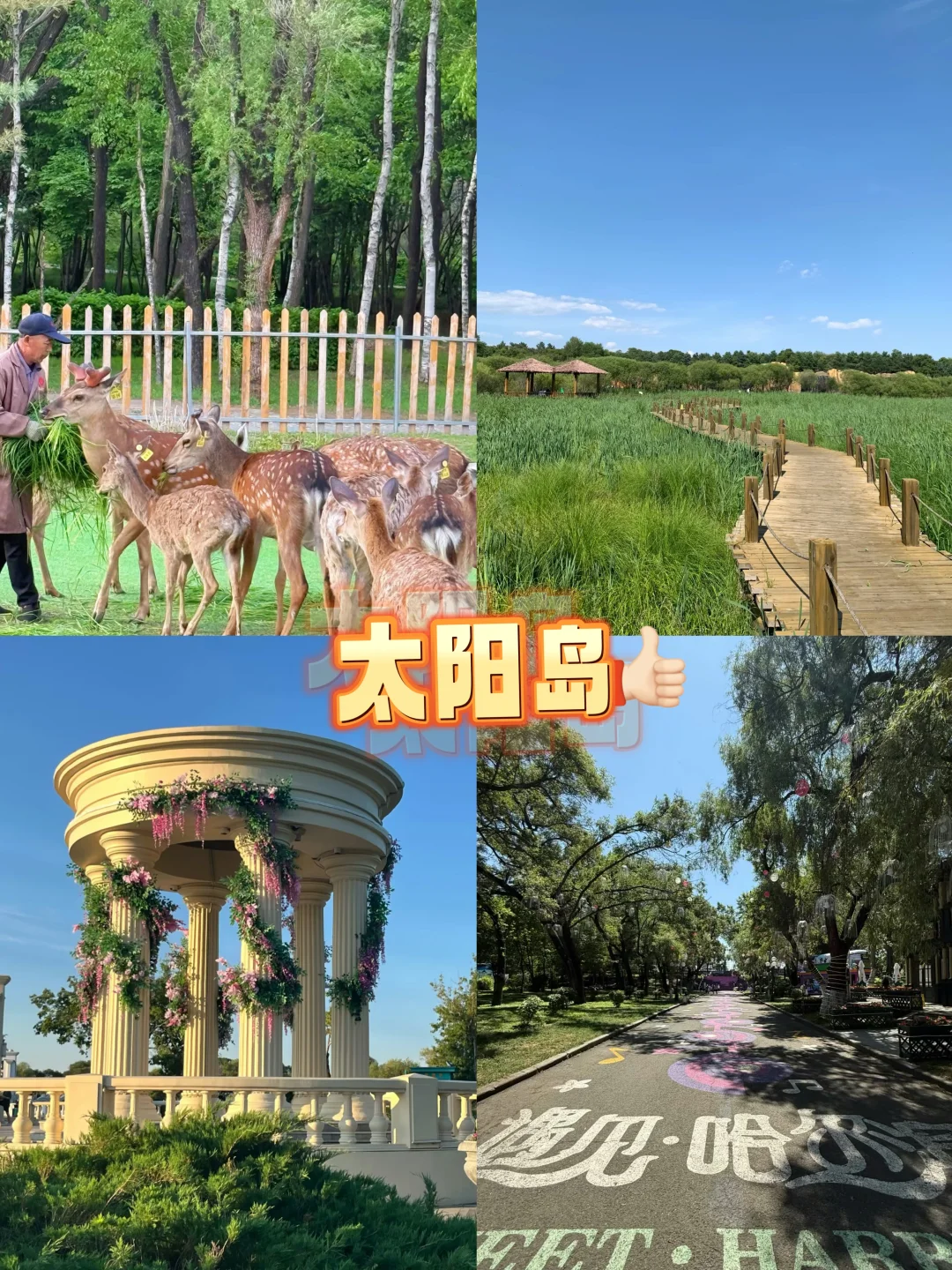 哈尔滨夏季必看旅行攻略❗️