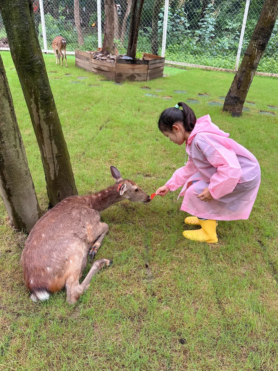 🌈江浙沪亲子游💦桐庐3天2晚超好玩路线‼