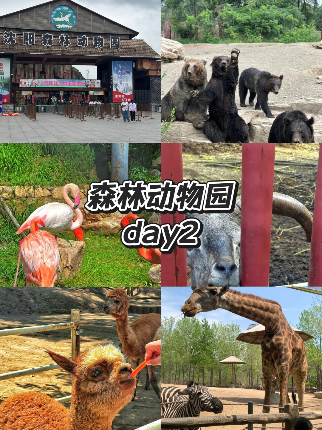 12大必玩景点全攻略！