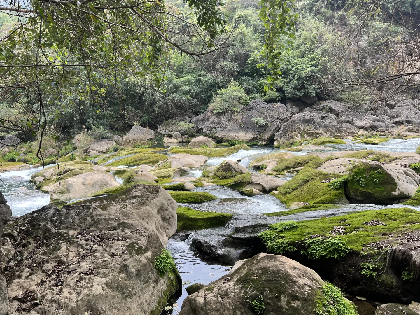 贵州四天超全攻略|吃喝玩拍保姆级行程安排
