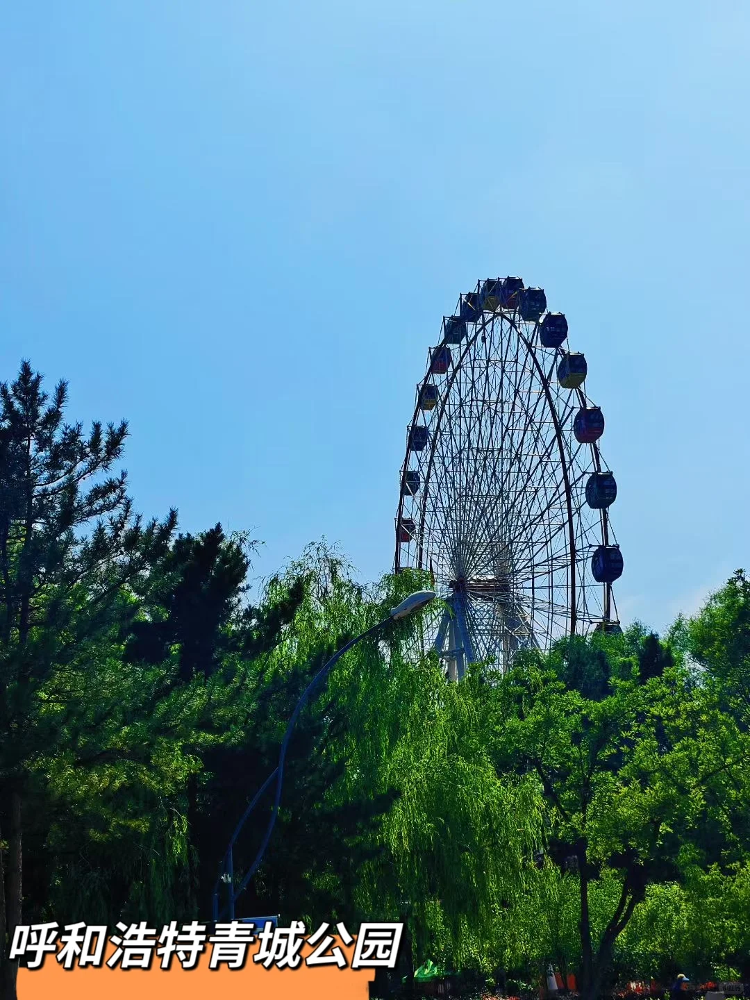 强力去班味儿~5️⃣个私藏宝藏公园大公开