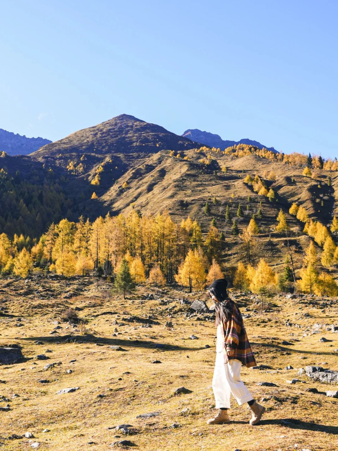 川西3日旅游攻略➕四姑娘山➕墨石➕鱼子西