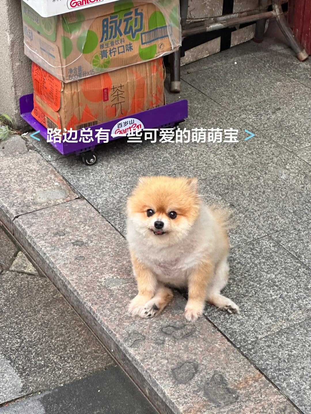 7.28刚从潮州回来…说一些实话吧！！！！