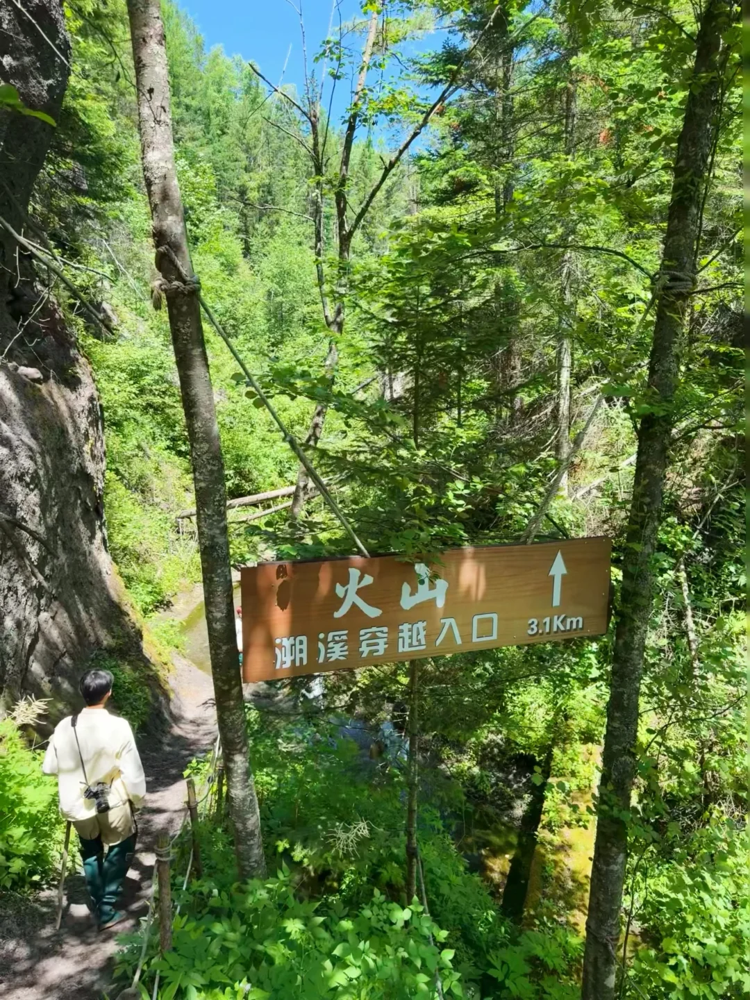 live图我宣布，这是国内最值得的避暑旅行地