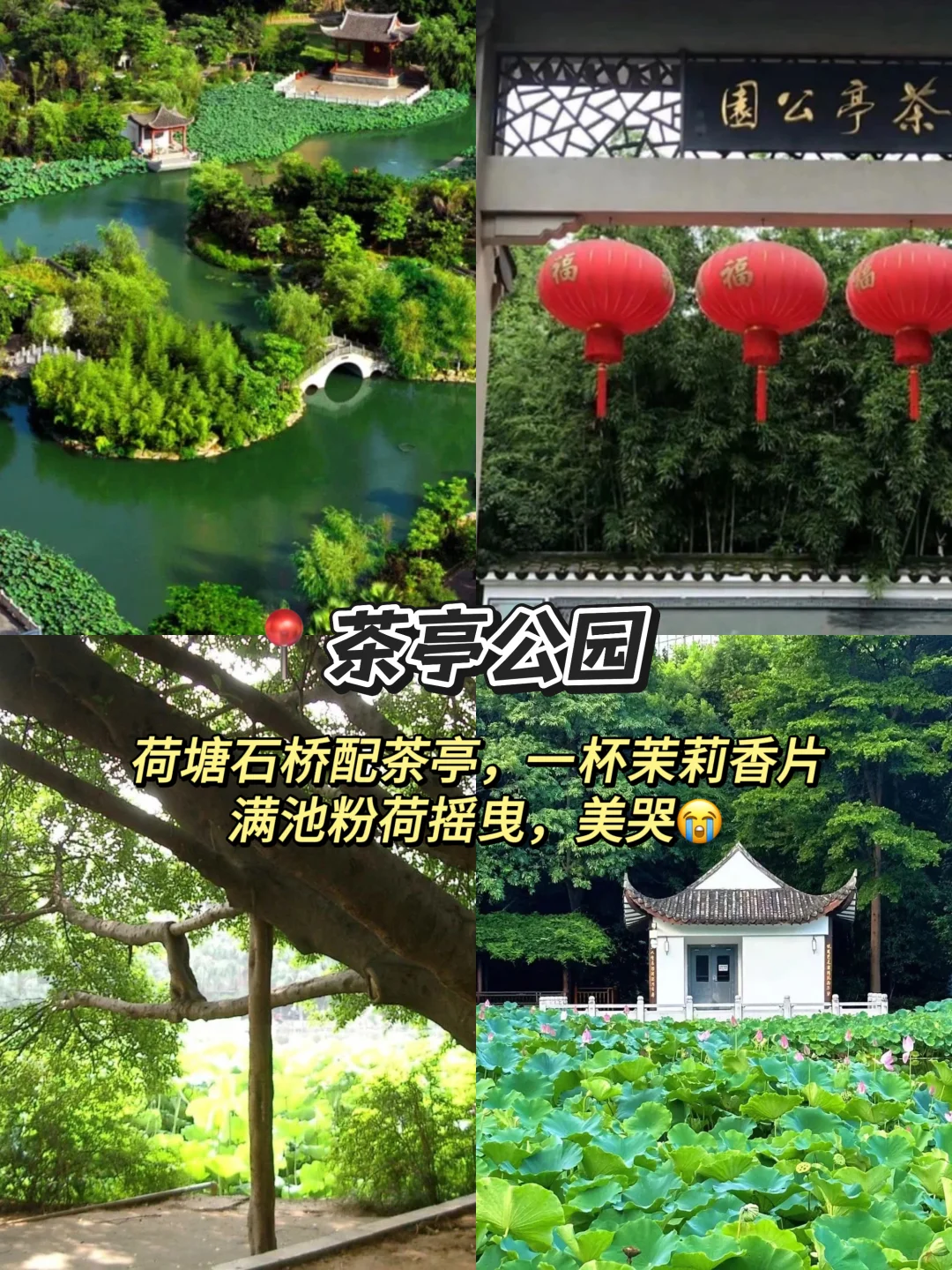 土著带路❗️坐地铁就能玩遍福州的旅游攻略