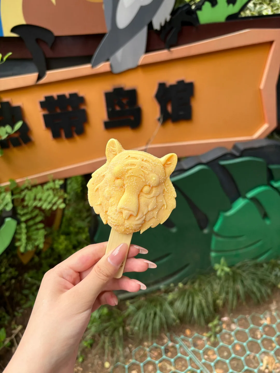 对自己的暑假南京游攻略满意到睡不着（J人版