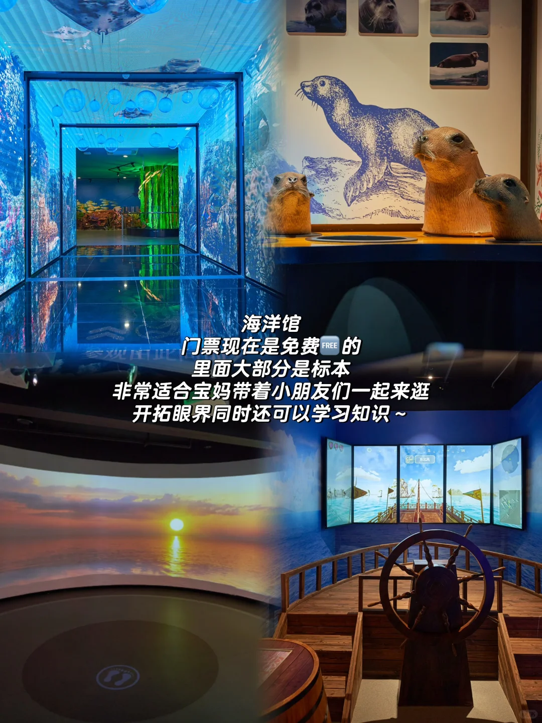 人均💰1k｜南麂岛三天两晚旅游攻略！附明细！