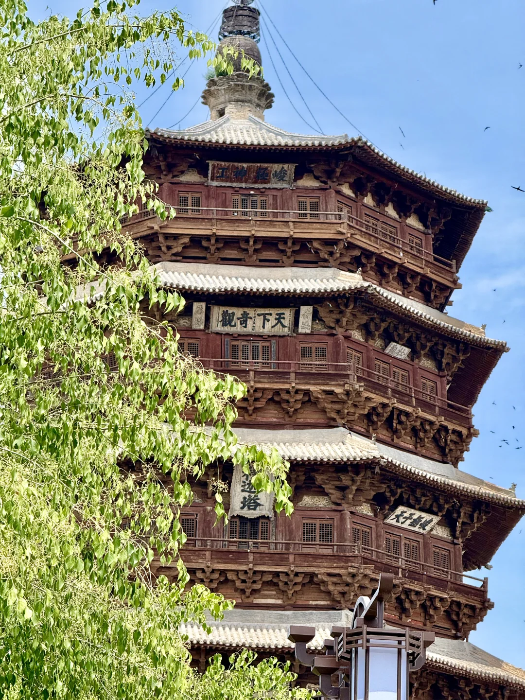 北京高温逃山西❗26℃躺玩4天人均1400💰