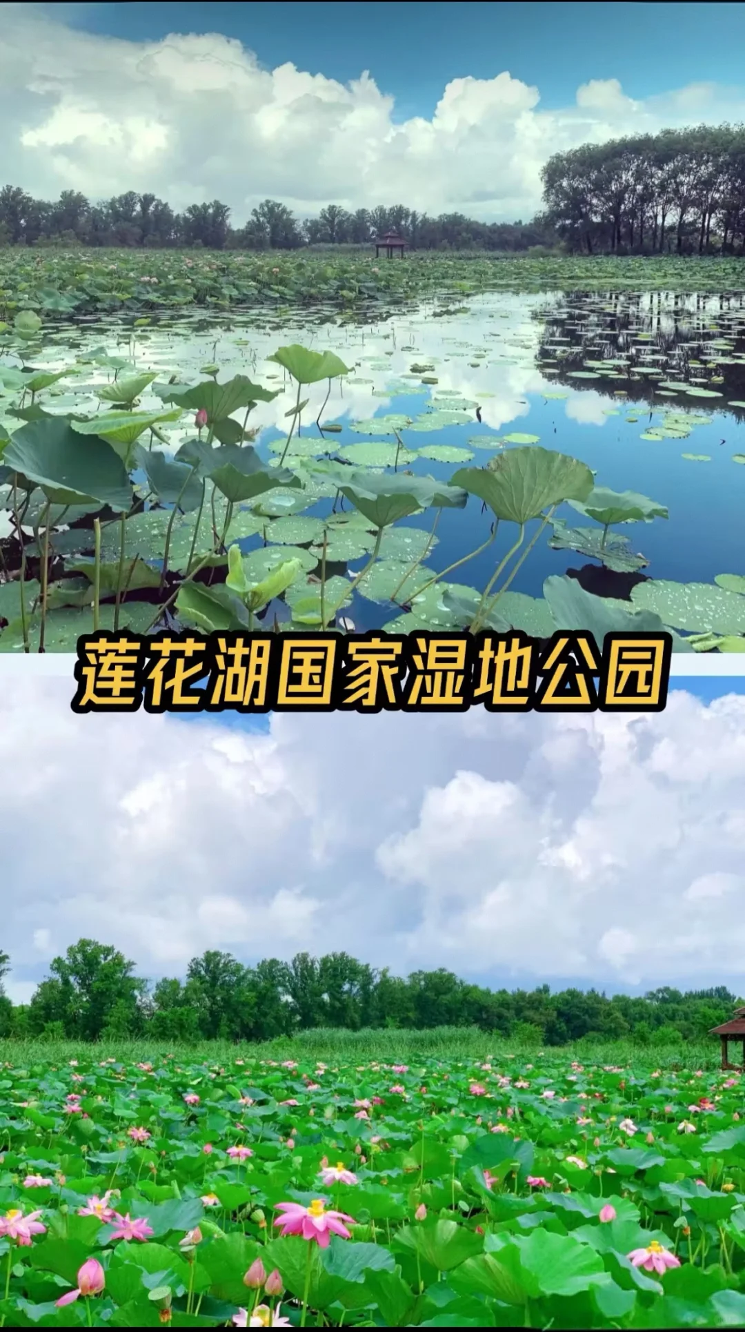 铁岭八大必打卡景点