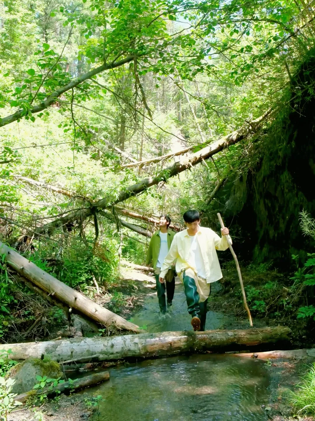 live图我宣布，这是国内最值得的避暑旅行地