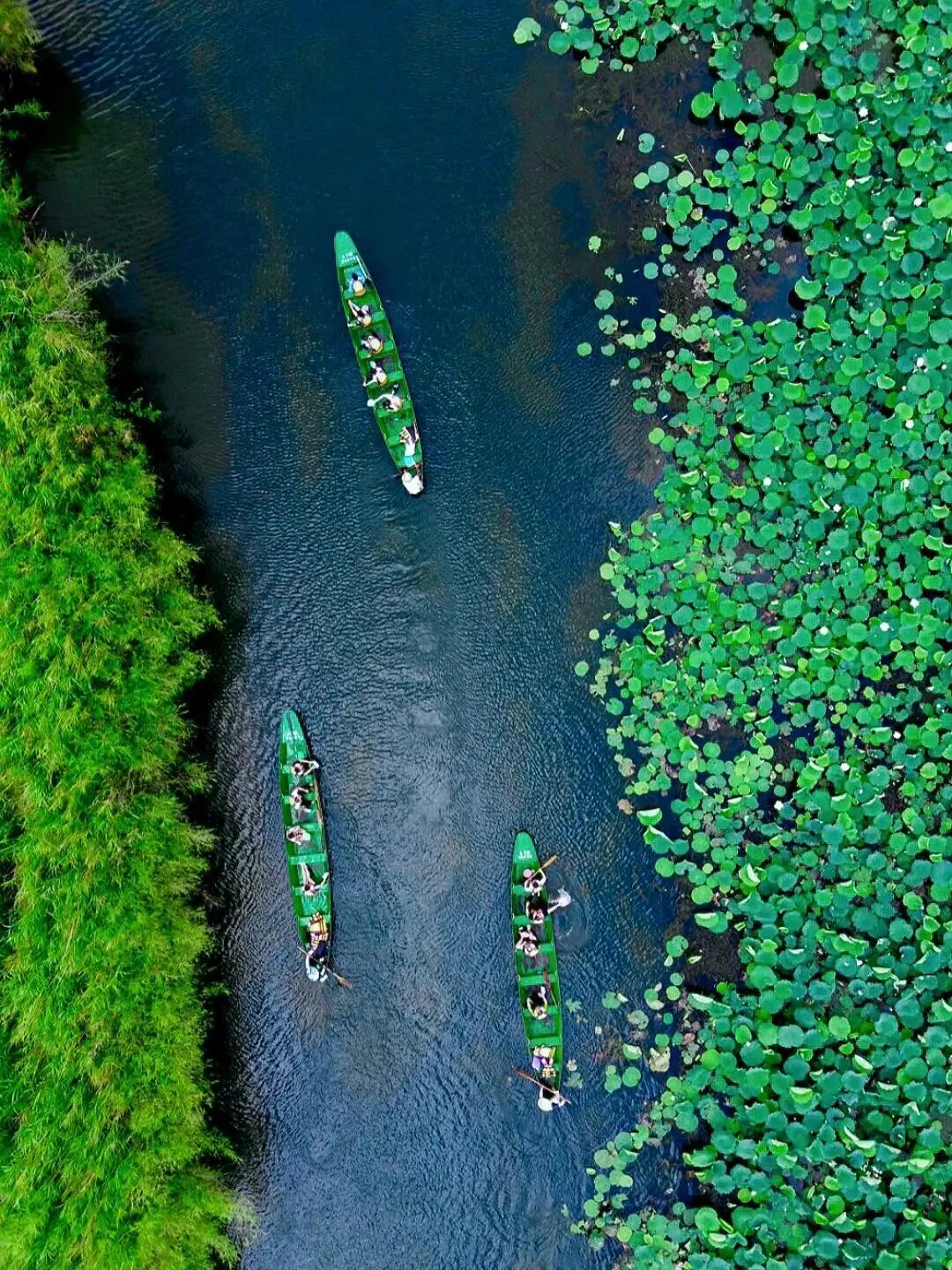 放弃大理了，暑假冲24°C的弥勒，人少景还美