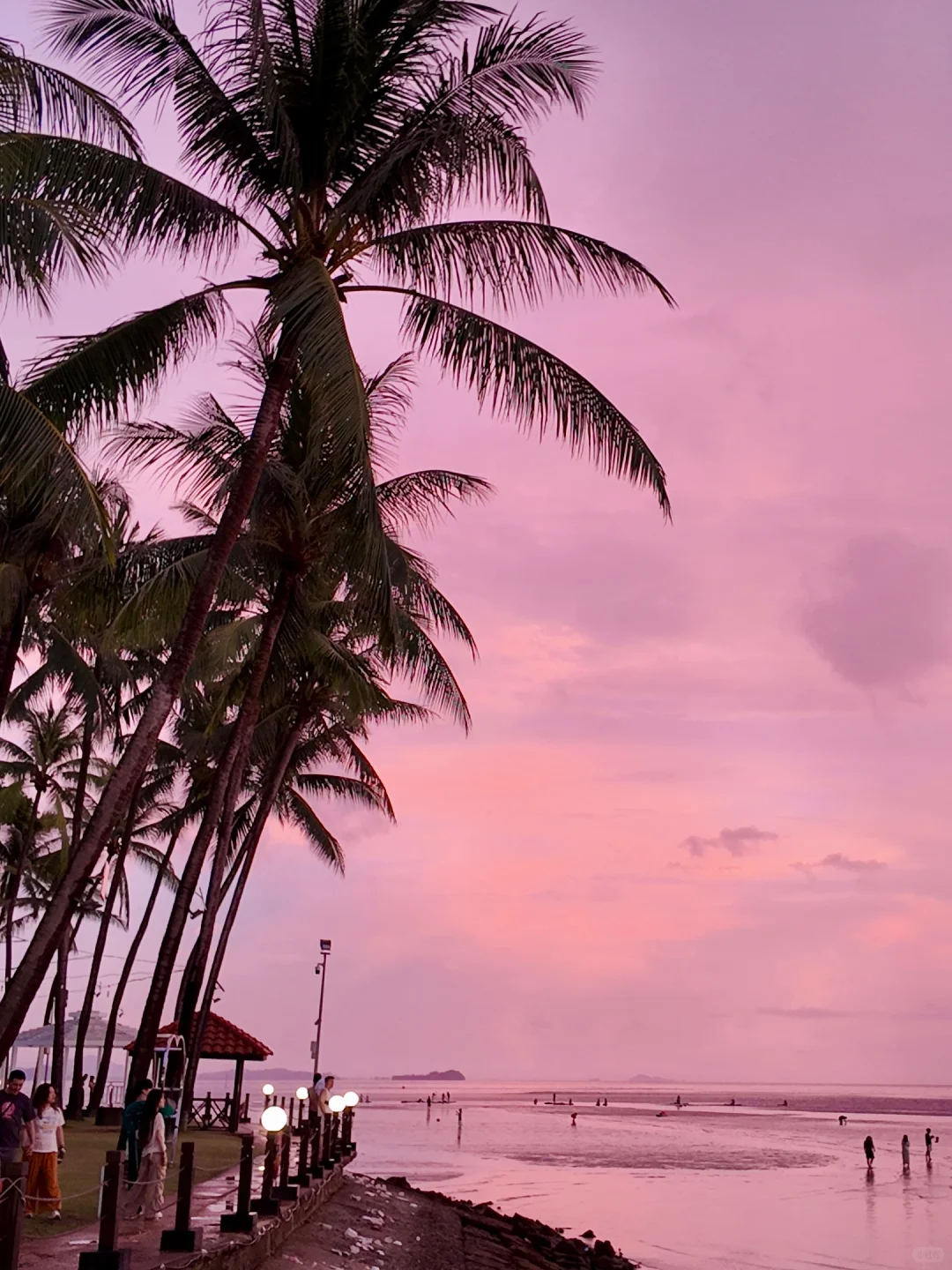 🌅亚庇2天1夜保姆级攻略！人均1000+玩转世界