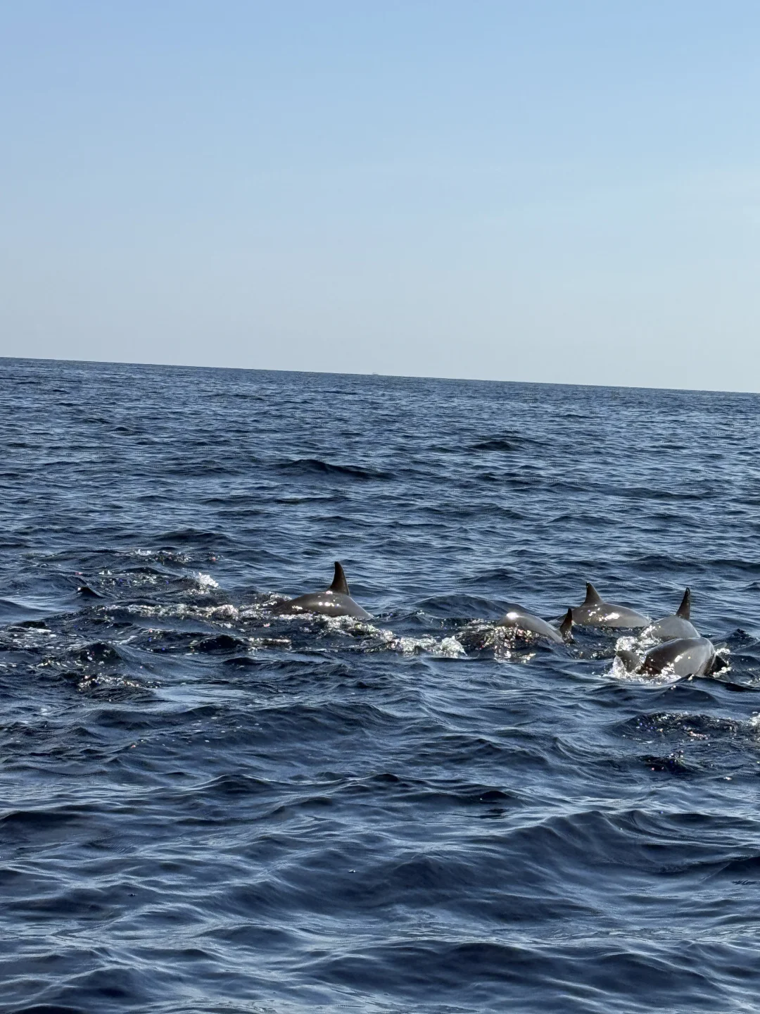 印尼双火山+瀑布+追🐬+巴厘岛6天5晚人均2K