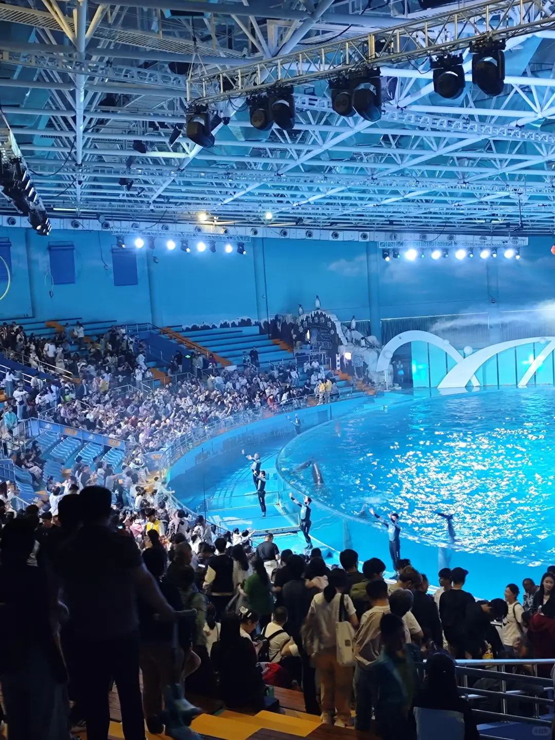 人生建议：带孩子去大连，一定要8-9月份去