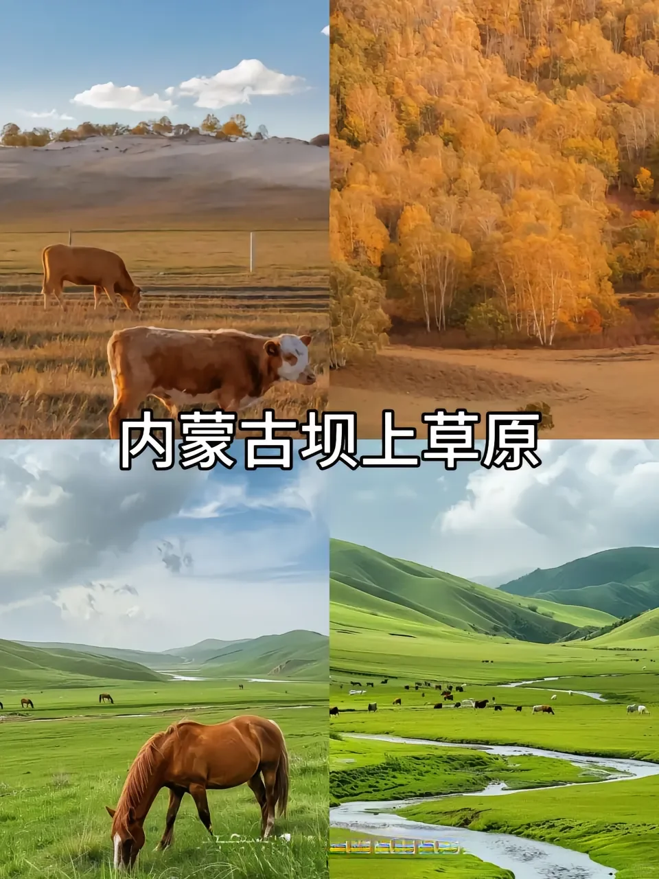 超适合去的七大城市！！！🐳🐳