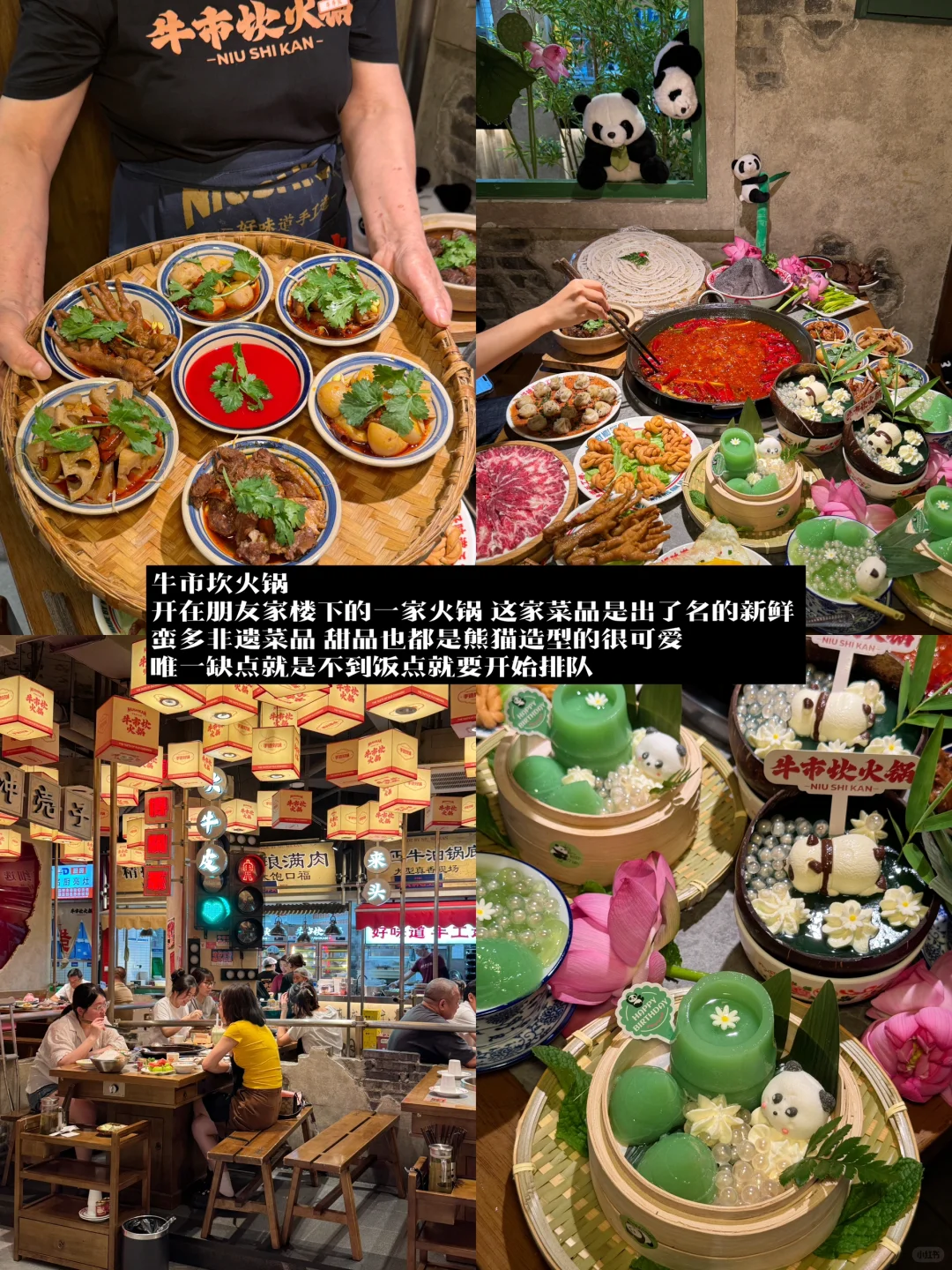 朋友来成都！会带她去无数次的店（逛吃版🤳）