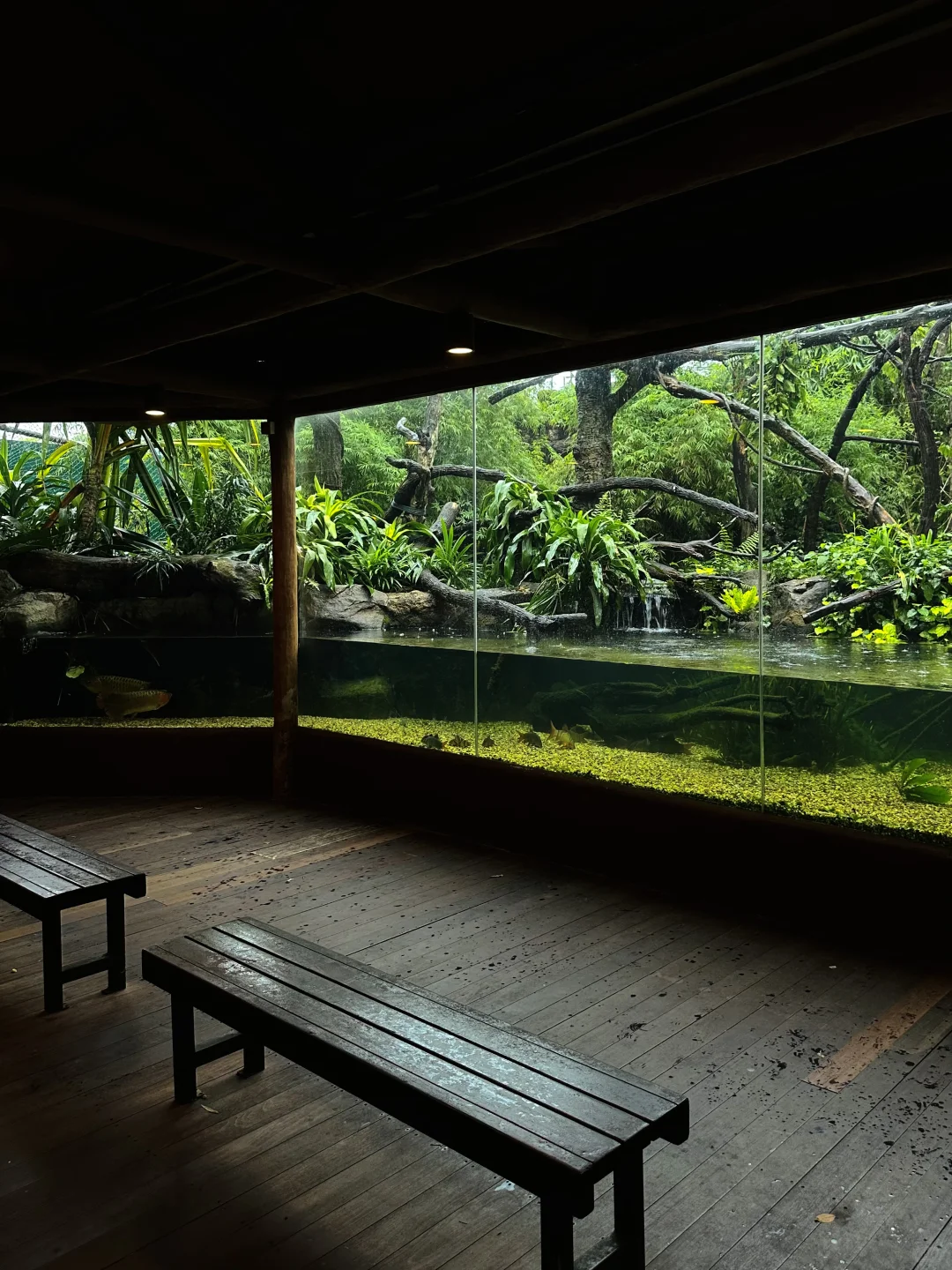 新加坡值得去的5个地方（小众版）